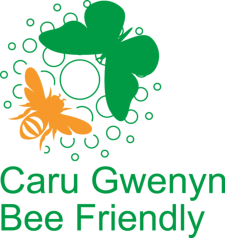 Ysgol Caer Drewyn